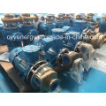 Cyyp21 High Quality and Low Price Horizontal Cryogenic Liquid Transfer Oxygen Nitrogen Coolant Oil Centrifugal Pump